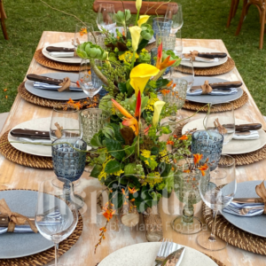 CENTRO DE MESA TROPICAL